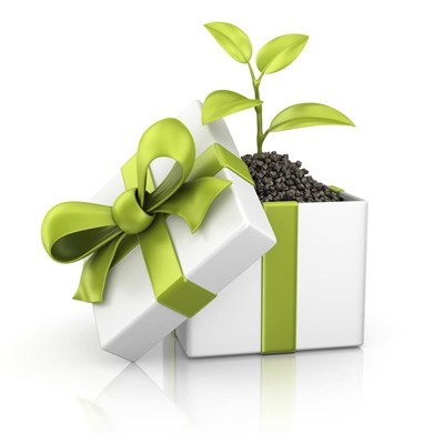Green gift ideas for Christmas